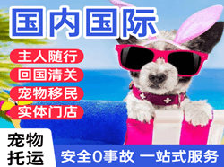 格尔木机场货运国际宠物托运 【国